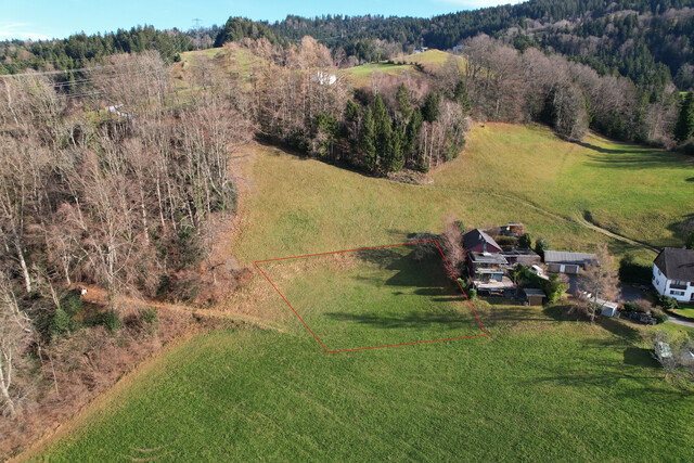 Exklusives Grundstück mit gigantischem Bodensee Weitblick