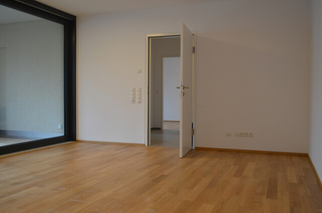 Neuwertige 2-Zimmerwohnung in Seenähe zu vermieten (verfügbar nach Absprache)