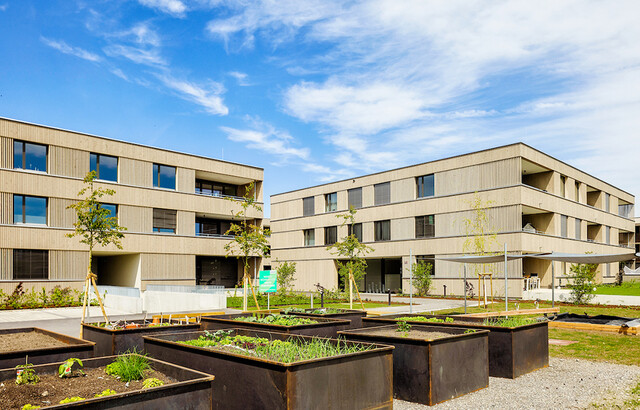 Bezugsbereite 3-Zimmer Terrassenwohnung | Top-Grundausstattung (Top A07)