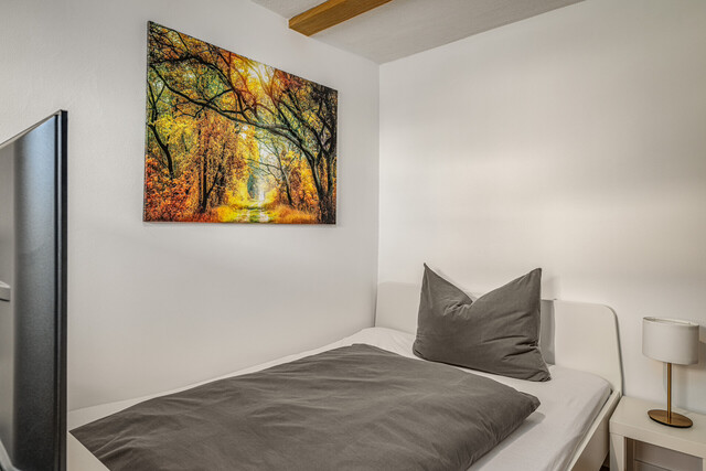 Vermieten & Wohnen unter einem Dach - attraktive Investmentchance!