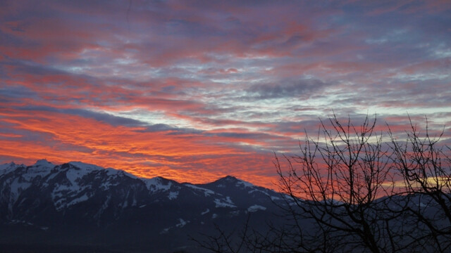 PROVISIONSFREI Einfamilienhaus im sonnigen Fraxern zu vermieten