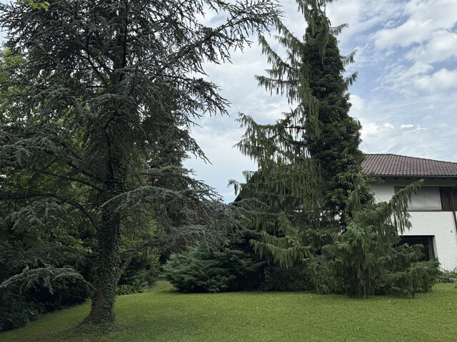 Mein Anwesen mit Charme und Schwimmbad im Lustenauer Rheindorf