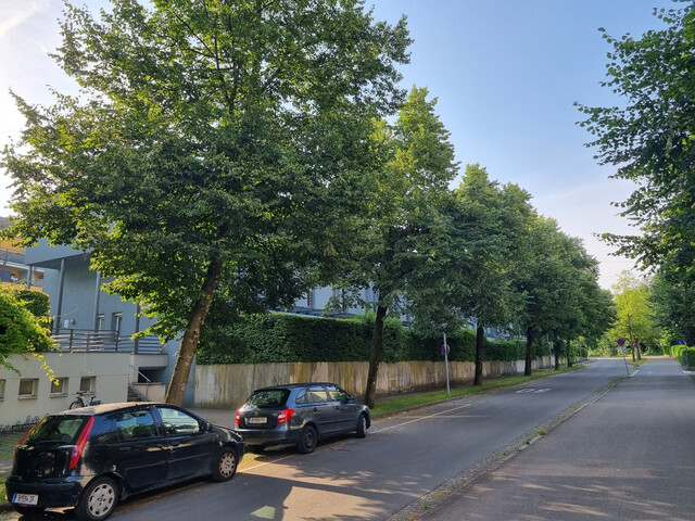 Helle 3 Zimmerwohnung in Bregenz, Strabonsstraße ab sofort provisionsfrei zu verkaufen!