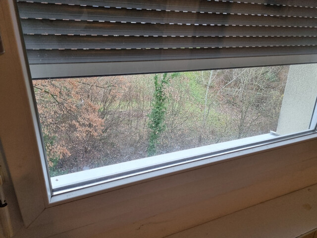 IDEALER RÜCKZUGSORT AM BODENSEE