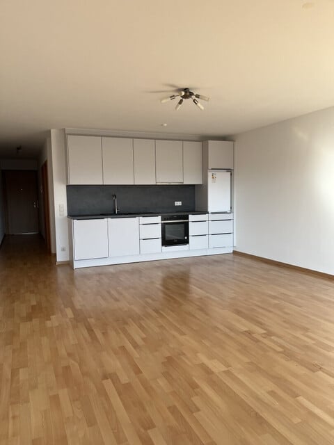 Attraktive 2 Zimmer-Wohnung in Hard mit idyllischem Balkon und TG-Platz