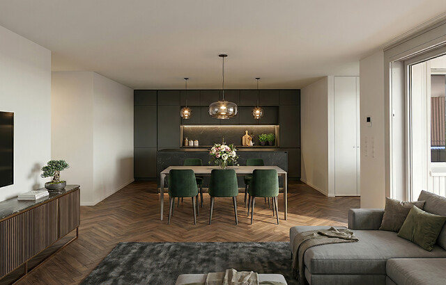 3-Zimmer Terrassenwohnung am Rheindamm (Top B04)