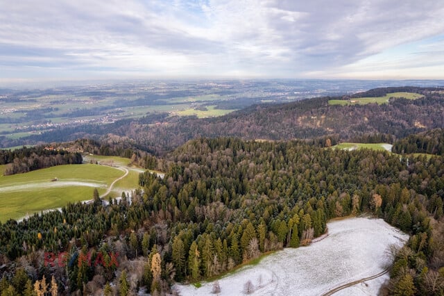 Goldene Felder für Ihre Ernte –
Ihre Chance, den Boden zum Leben zu erwecken!