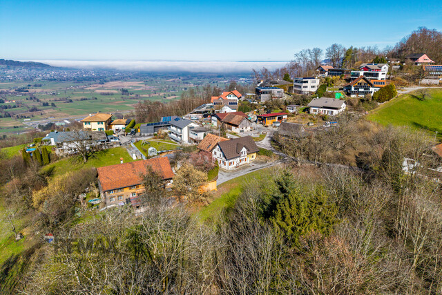 Einfamilienhaus in Ruhelage mit Potenzial: Sanierungsobjekt in Hohenems-Reute