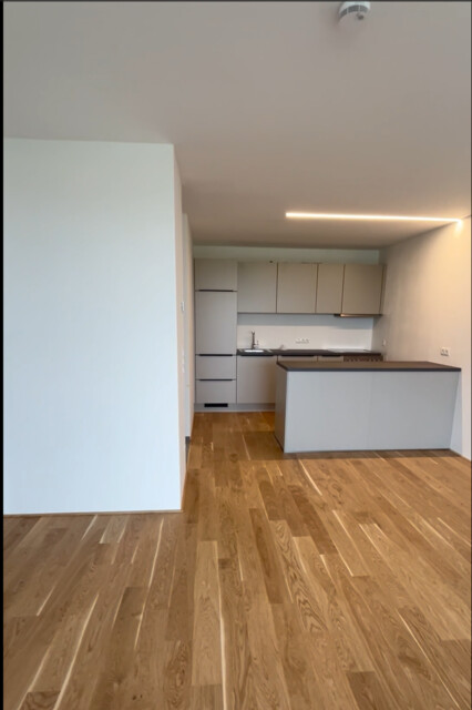 Moderne 2-Zimmer-Wohnung mit großem Balkon und  traumhaftem Ausblick in Höchst