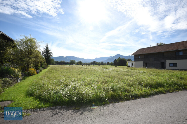 Grundstück in attraktiver Lage in Lustenau – direkt an der Landesgrünzone