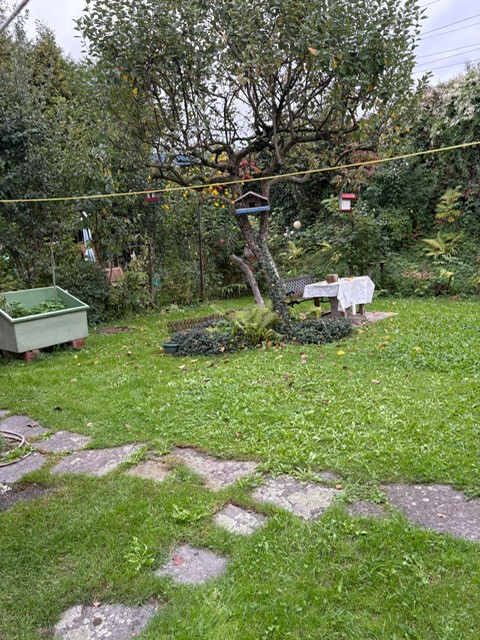 2,5-Zimmerwohnung in Bregenz provisionsfrei zu vermieten