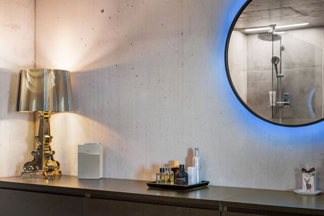 Die exklusivste Lage des Drei-Länder-Ecks: Traumhaus am Hausberg von Bregenz