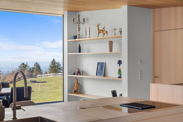 Die exklusivste Lage des Drei-Länder-Ecks: Traumhaus am Hausberg von Bregenz