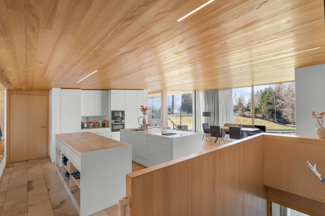 Die exklusivste Lage des Drei-Länder-Ecks: Traumhaus am Hausberg von Bregenz