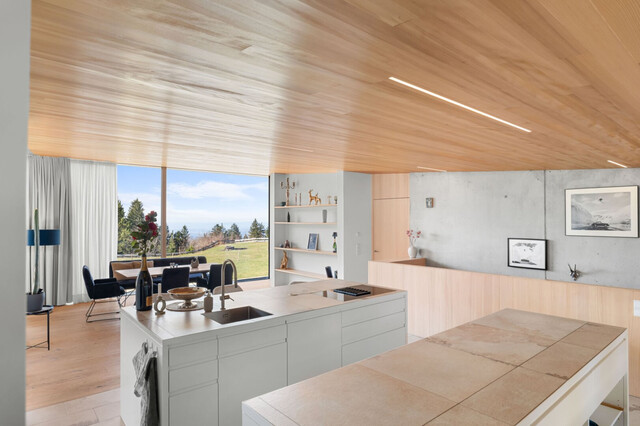 Die exklusivste Lage des Drei-Länder-Ecks: Traumhaus am Hausberg von Bregenz