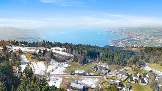 Die exklusivste Lage des Drei-Länder-Ecks: Traumhaus am Hausberg von Bregenz