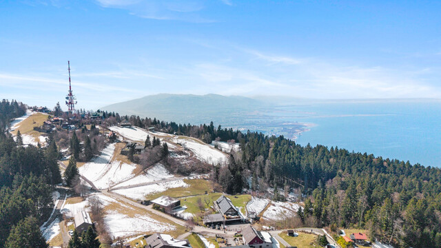 Die exklusivste Lage des Drei-Länder-Ecks: Traumhaus am Hausberg von Bregenz