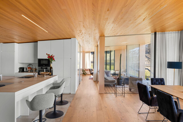 Die exklusivste Lage des Drei-Länder-Ecks: Traumhaus am Hausberg von Bregenz