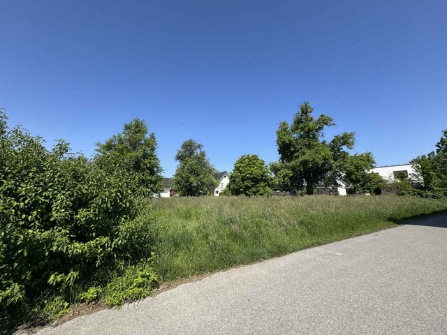 Baugrundstück in beliebtester Wohnlage