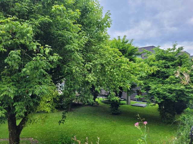 Wunderschöne 3- Zimmerwohnung in zentraler Lage mit herrlicher Terrasse!