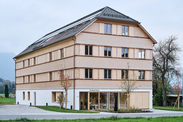 NEUBAU 3-Zimmer-Wohnung mit Terrasse und traumhaftem Sonnenuntergang in Lingenau zum Kauf