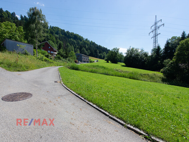 Wunderschönes Grundstück am Waldrand in prominenter Dornbirner Lage