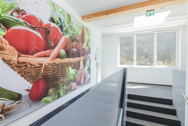 Repräsentatives Gewerbeareal in Dornbirn - Moderne Architektur mit hervorragender Sichtbarkeit