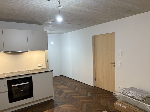 Neubau: Modernes möbliertes Appartement in zentraler Lage