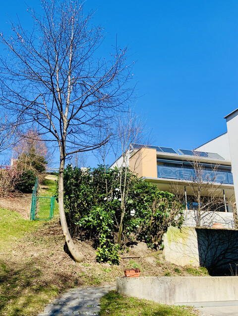 Privatverkauf in Göfis, tolle Wohnung mit Reihenhauscharakter, eigenem Garten und großer Terrasse in toller Hanglage