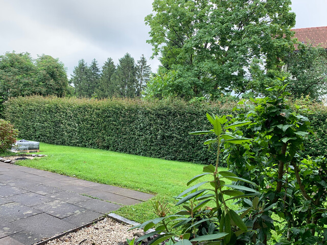 "ohne Provision" helle 3,5 Zimmer Gartenwohnung