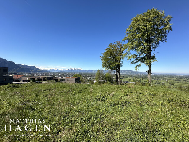 Teilungsvariante: 4 Grundstücke - zwischen ca. 1005 m² bis 1196 m²