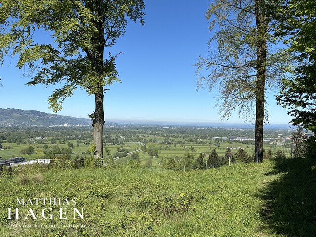 Teilungsvariante: 4 Grundstücke - zwischen ca. 1005 m² bis 1196 m²