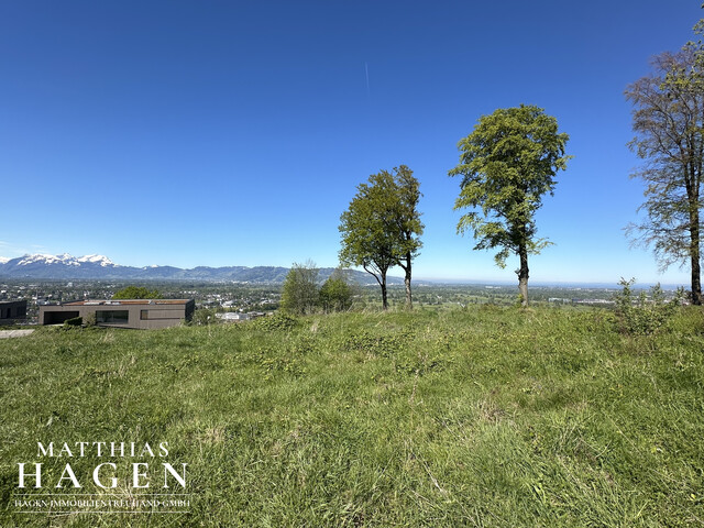 Teilungsvariante: 4 Grundstücke - zwischen ca. 1005 m² bis 1196 m²