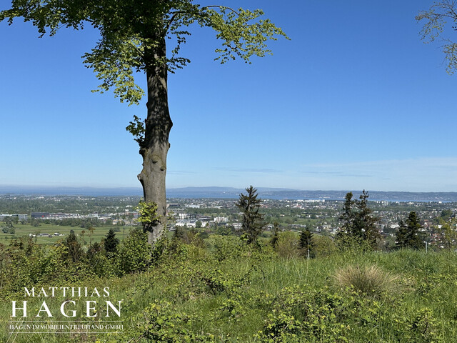 Teilungsvariante: 4 Grundstücke - zwischen ca. 1005 m² bis 1196 m²