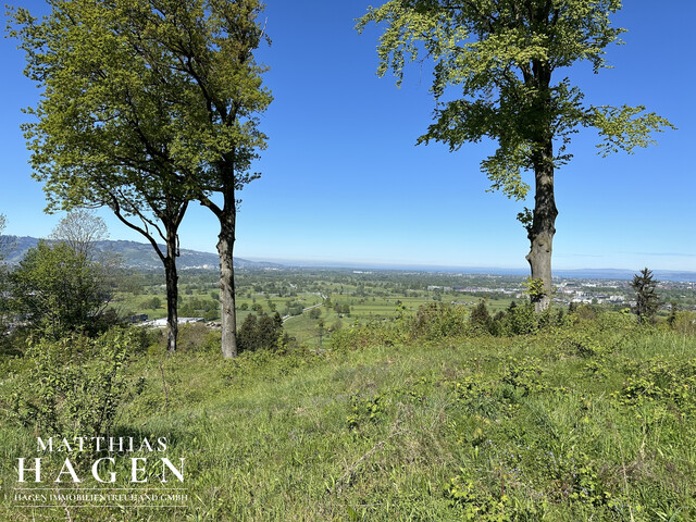 Teilungsvariante: 4 Grundstücke - zwischen ca. 1005 m² bis 1196 m²