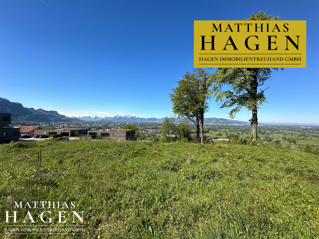 Teilungsvariante: 4 Grundstücke - zwischen ca. 1005 m² bis 1196 m²