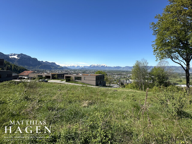 Teilungsvariante: 4 Grundstücke - zwischen ca. 1005 m² bis 1196 m²