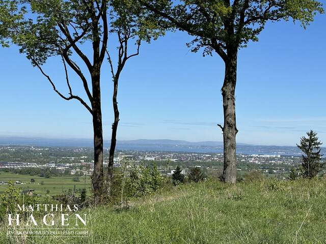 Teilungsvariante: 4 Grundstücke - zwischen ca. 1005 m² bis 1196 m²