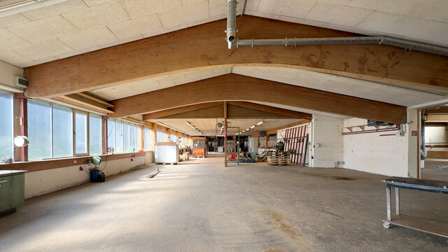 Schnepfau Großzügige, sehr vielseitige Gewerbefläche