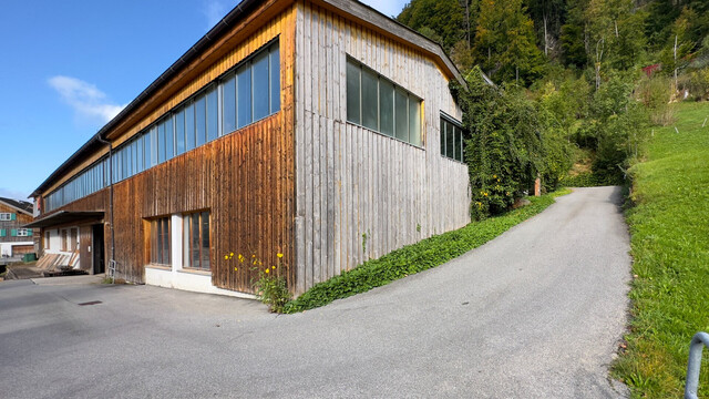 Schnepfau Großzügige, sehr vielseitige Gewerbefläche