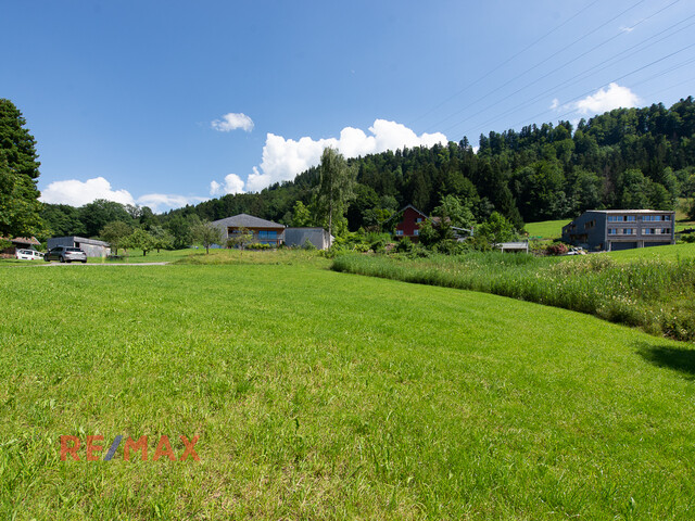 Wunderschönes Grundstück am Waldrand in prominenter Dornbirner Lage