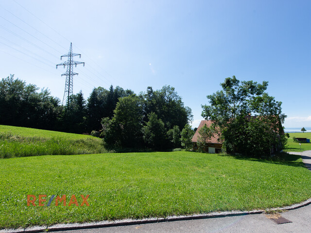 Wunderschönes Grundstück am Waldrand in prominenter Dornbirner Lage