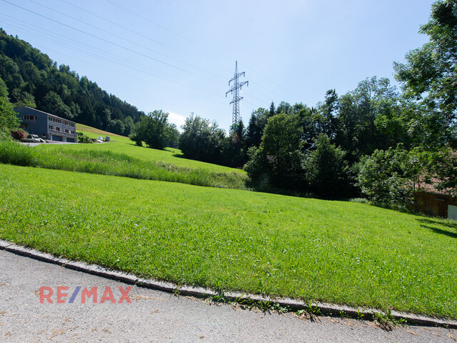 Wunderschönes Grundstück am Waldrand in prominenter Dornbirner Lage