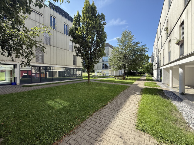 3 Zimmer |  Hohenems  |  Loggia |  TG