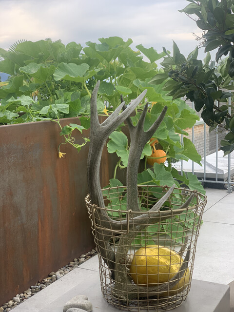 Privatverkauf: Dachterrassenwohnung in Altach mit ca 65 m2 Dachterrasse