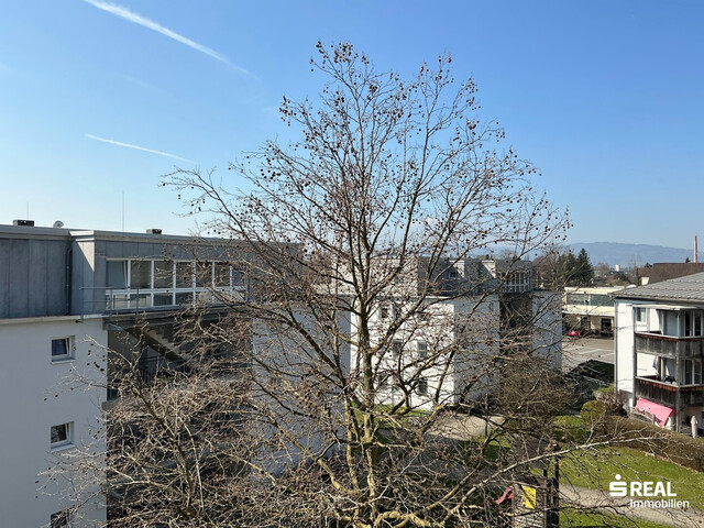 Kleines Nest mit großem Ausblick
