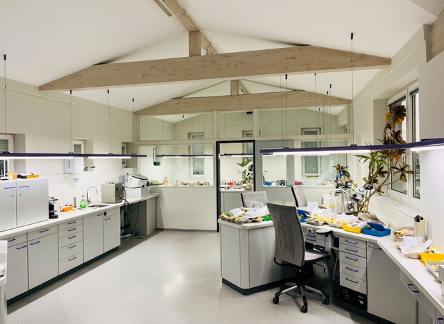 Attraktives Gewerbeobjekt mit Eigennutzung und vermietbaren Flächen – Sichtbarkeit & Eleganz vereint