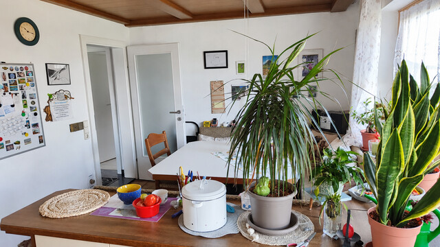 Ein Bungalow mit Möglichkeiten - inkl. Keller und Doppelgarage 