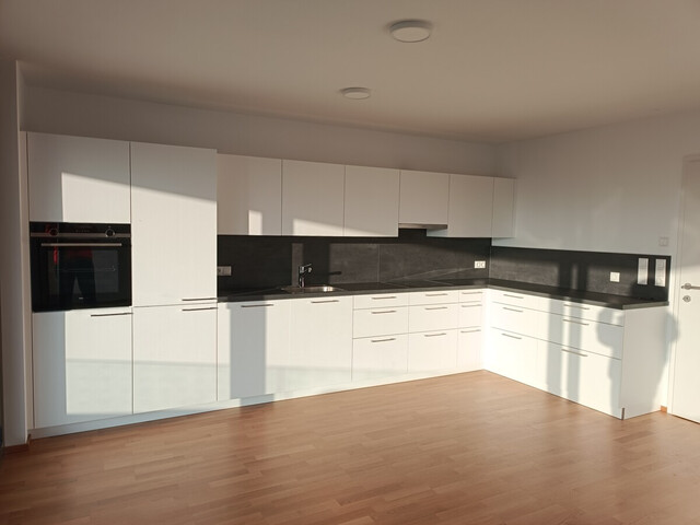 Traumhafte 3-Zimmer-Wohnung mit  großzügiger Terrasse in Höchst