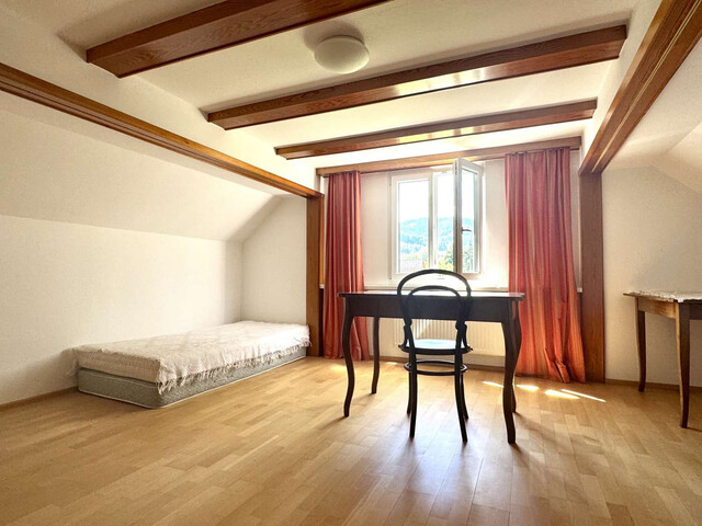 Weitläufige Liegenschaft mitten im Ortszentrum